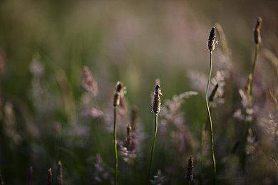 Insomniac的PS5多人游戏可能是一个新IP